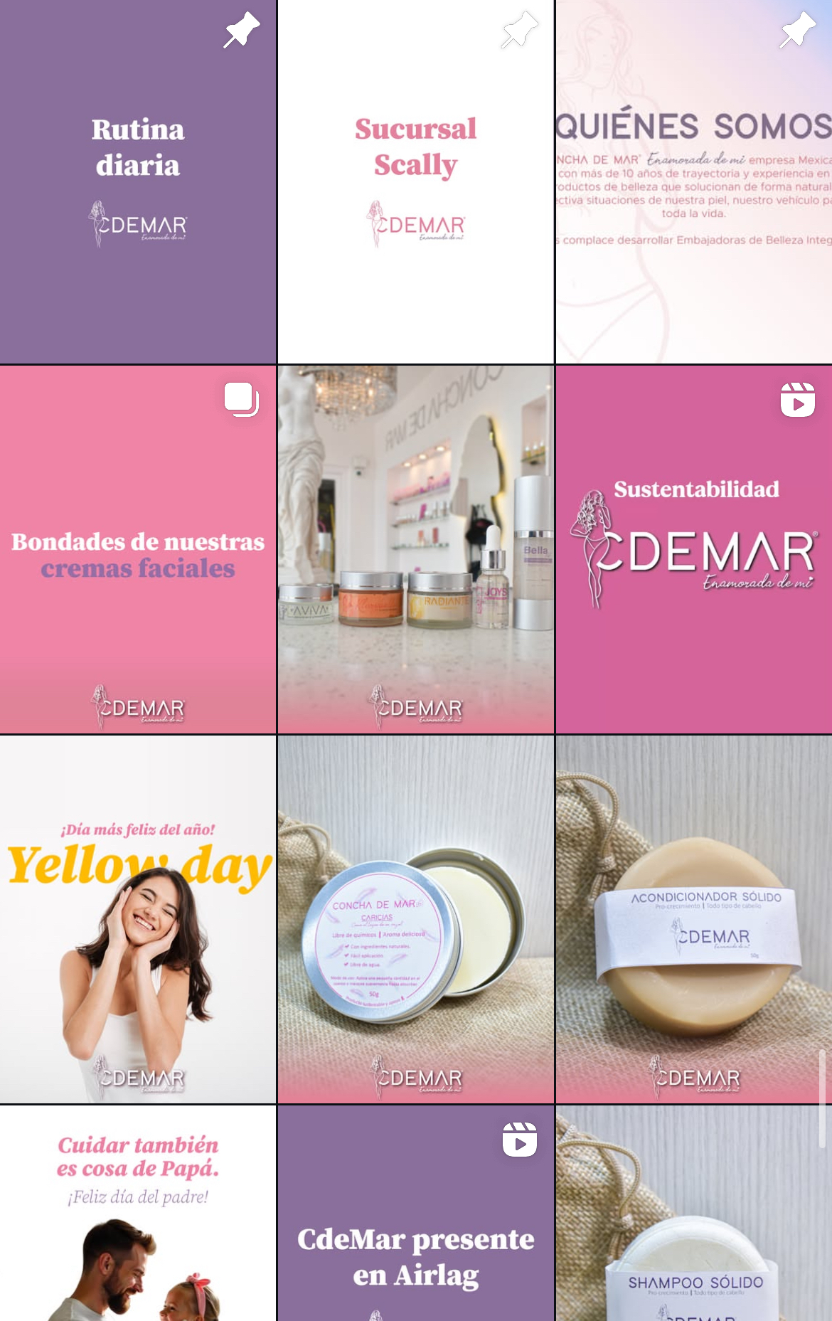 Feed de Instagram del negocio de belleza y salud, Concha de Mar Productos